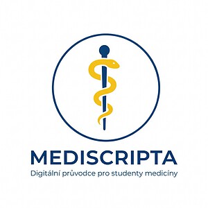 Infantools | MediScripta Logo Text